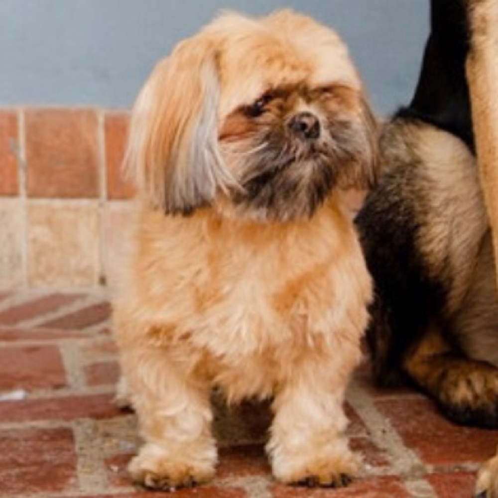 Meet your Posher, Angela